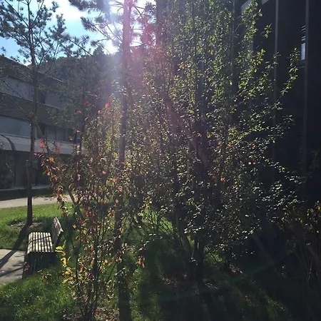 The Garden * Berna
